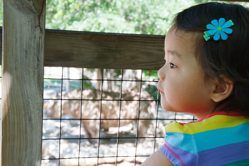 Amelie's First trip to the zoo