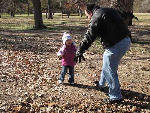 Forest Park Mini Train