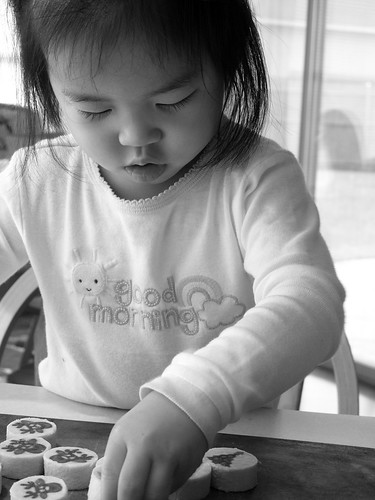 3137537346_2643814ef9_b