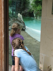 Zoo 3.30.2012