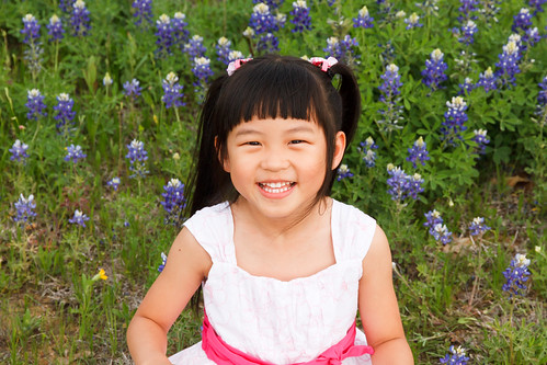 Bluebonnets March 2012