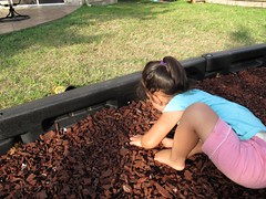 May/June School 2012