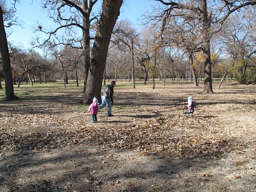Forest Park Mini Train