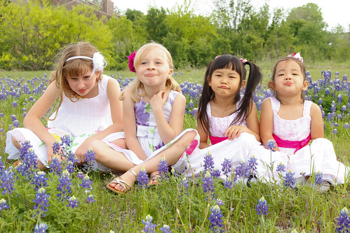 Bluebonnets March 2012