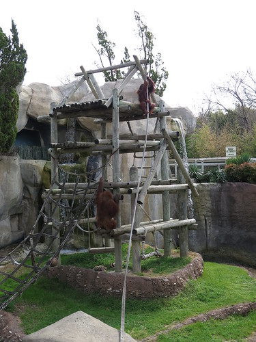 Zoo - 3.21.2014 Zoo - 3.21.2014