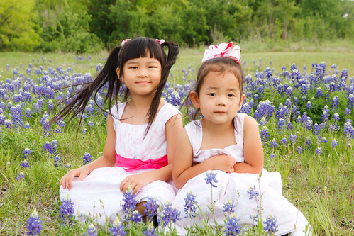 Bluebonnets March 2012