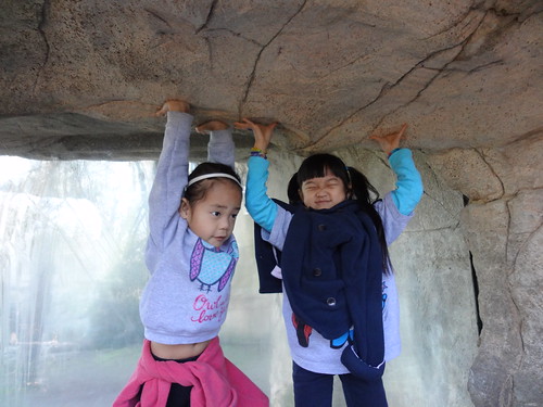 Amelie's 3rd Gotcha Day