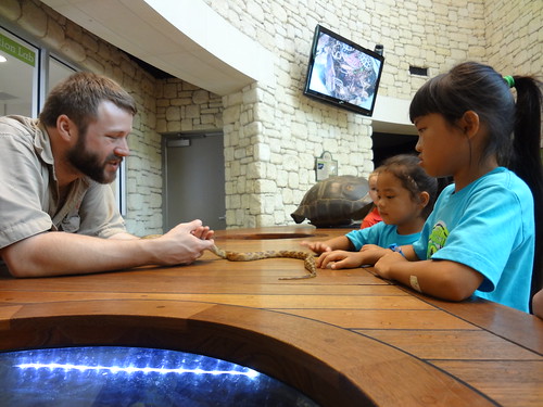 Fort Worth Field Trips