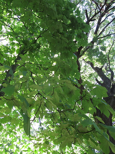 Museum School Field Trip
