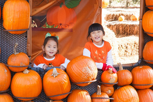 Pumpkin Village 2013