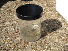 Museum School Field Trip