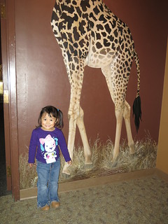 Colorado Trip 11 25 2014