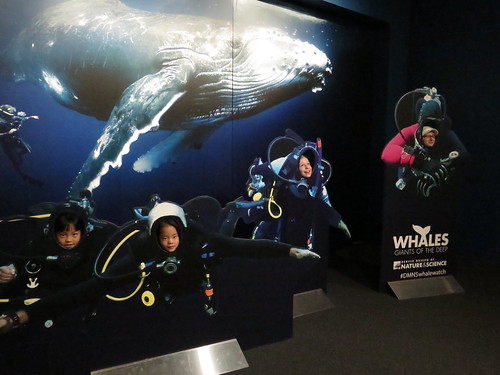 Colorado Trip 11 25 2014