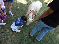 Farm & Ranch Day 2012