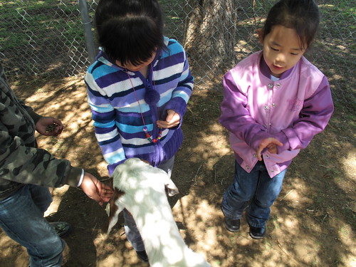 Sharkarosa Wildlife Ranch