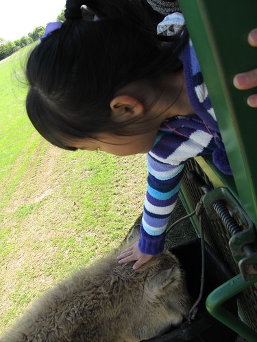 Sharkarosa Wildlife Ranch