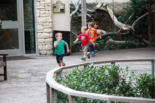 Nadia's 6th Birthday Party