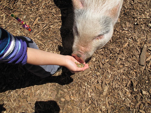 Sharkarosa Wildlife Ranch