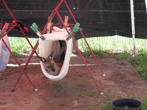 Sharkarosa Wildlife Ranch