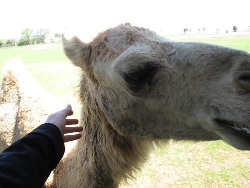 Sharkarosa Wildlife Ranch