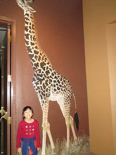 Colorado Trip 11 25 2014