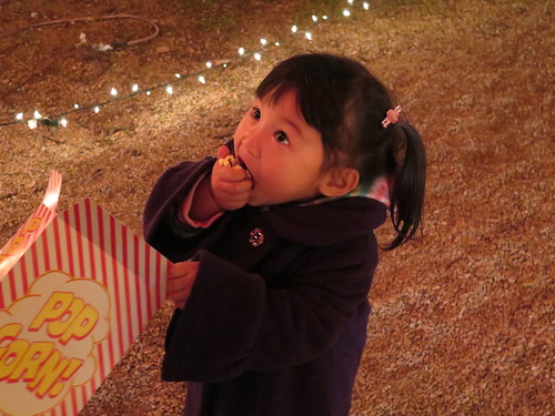 Prairie Lights 12.3.2014